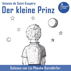 Der kleine Prinz (Antoine de Saint-Exupéry) by Solidarität stimmt!