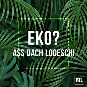 RTL - Eko? Ass dach logesch!