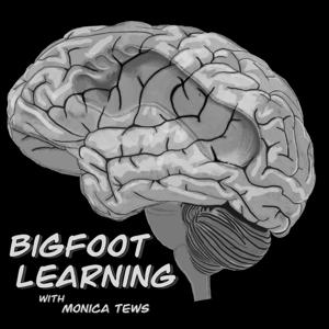 Bigfoot Learning