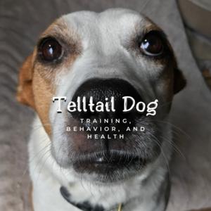 Telltail Dog