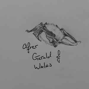 After Gerald of Wales