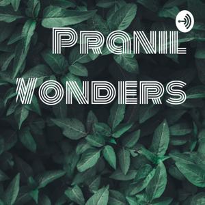 Pranil Wonders