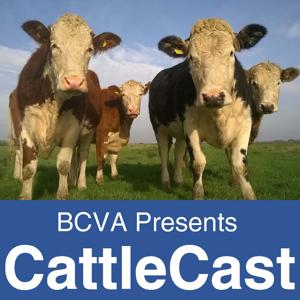 CattleCast