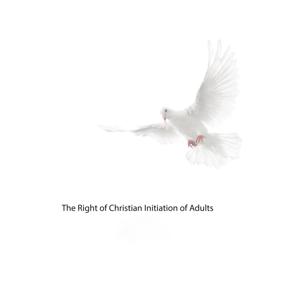 Rite of Christian Initiation of Adults 2010-2011