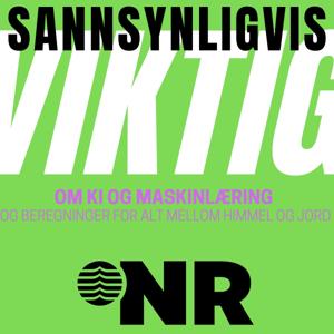 Sannsynligvis VIKTIG