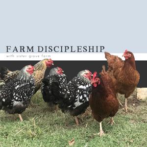 Farm Discipleship