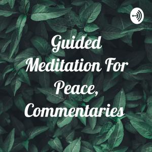 Guided Meditation For Peace, Commentaries