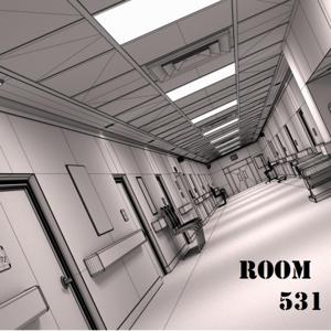 Room 531 Experience