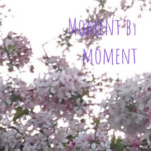 Moment by moment