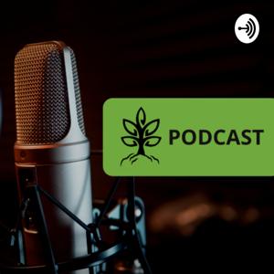 Iglesia Nacidos de Nuevo Podcast