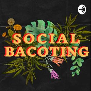 Social Bacoting