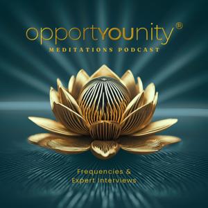 Opportyounity Meditations