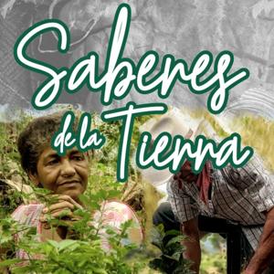 Saberes de la Tierra