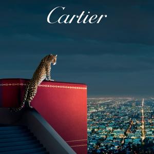 Cartier Confidential