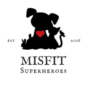 Misfit Superheroes