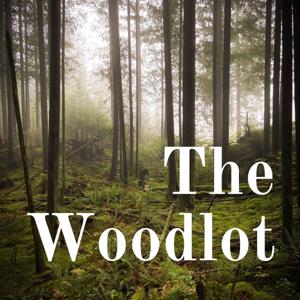 The Woodlot