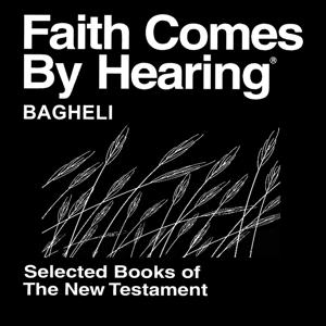 Bagheli Bible (Non-Dramatized)