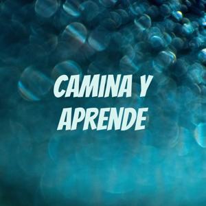 Camina y Aprende