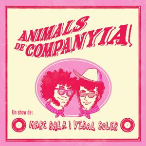 Animals de companyia