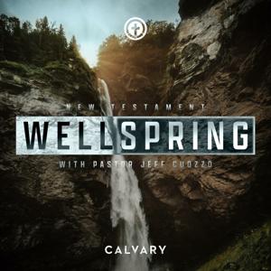 Wellspring