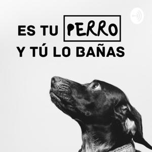 Es tu PERRO y tú lo bañas