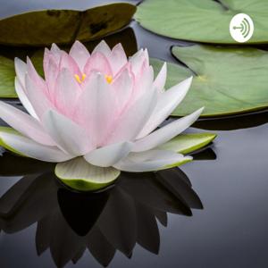 LOTUS FLOWER AUDIO BOOKS