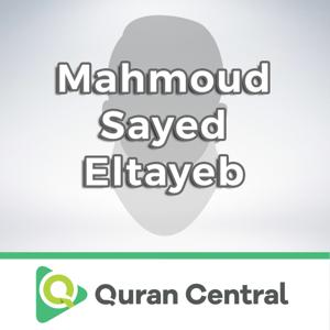 Mahmoud Sayed Eltayeb