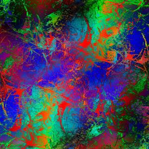 Jasmin Ramirez's show