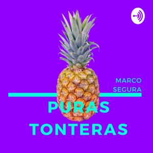 Puras Tonteras
