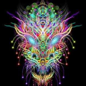 The Diamond Dragon Podcast