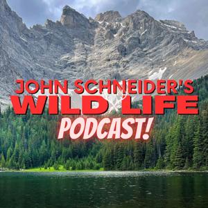 John Schneider's Wild Life by John Schneider