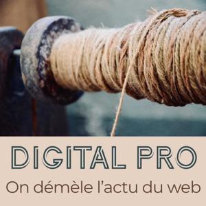 Digital Pro - On démêle l‘actu du web