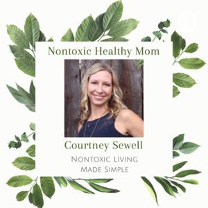 Nontoxic Healthy Mom