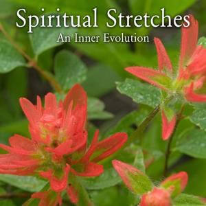 Spiritual Stretches