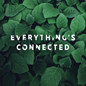Everything’s Connected