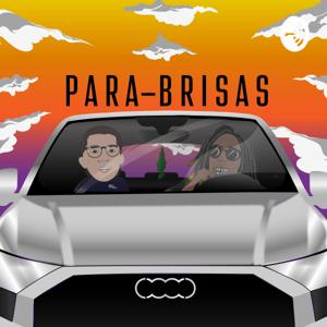 Para-brisas