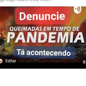 Queimadas Em Tempo De Pandemia