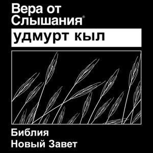 Удмуртский Библия (Non театрализованных) - Udmurt Bible (Non-Dramatized)