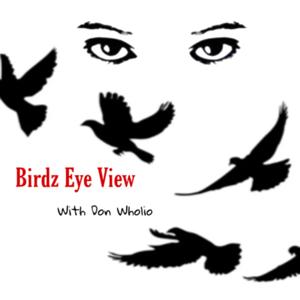 Birdz Eye View