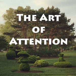 The Art of Attention