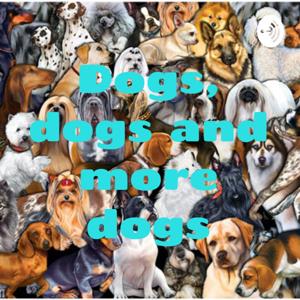 Dogs, dogs and more dogs