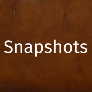 We The People - Snapshots