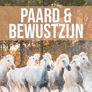 Paard & Bewustzijn