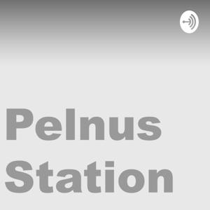 Pelnus Station