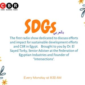 SDG's بالعربي