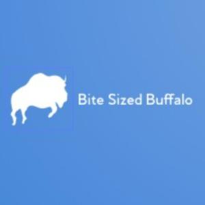 Bite Sized Buffalo - Mostly annoying rants about the Buffalo Bills.