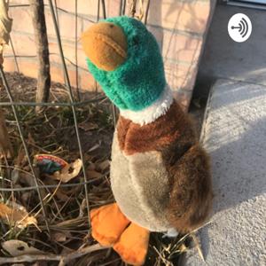 Mr Duck’s Podcast