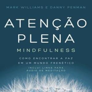 Meditação Mindfulness