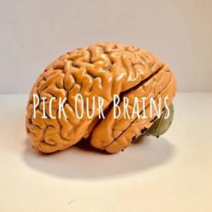 Pick Our Brains