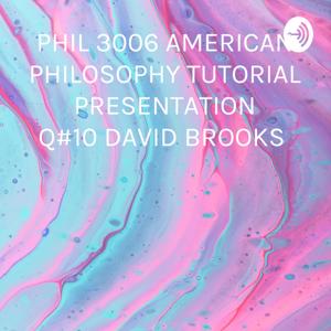 PHIL 3006 AMERICAN PHILOSOPHY TUTORIAL PRESENTATION Q#10 DAVID BROOKS